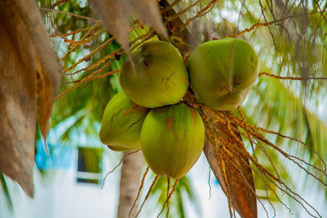 Pwani Beach Boutique Hotel Zanzibar Pwani Mchangani Eksteriør bilde